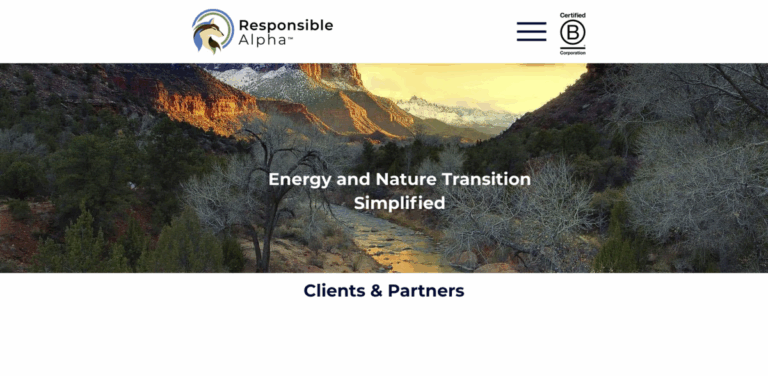 Responsible Alpha: Guiding Organizations Toward a Net Positive Economy