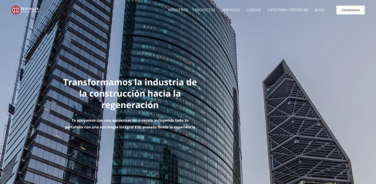 Revitaliza Consultores