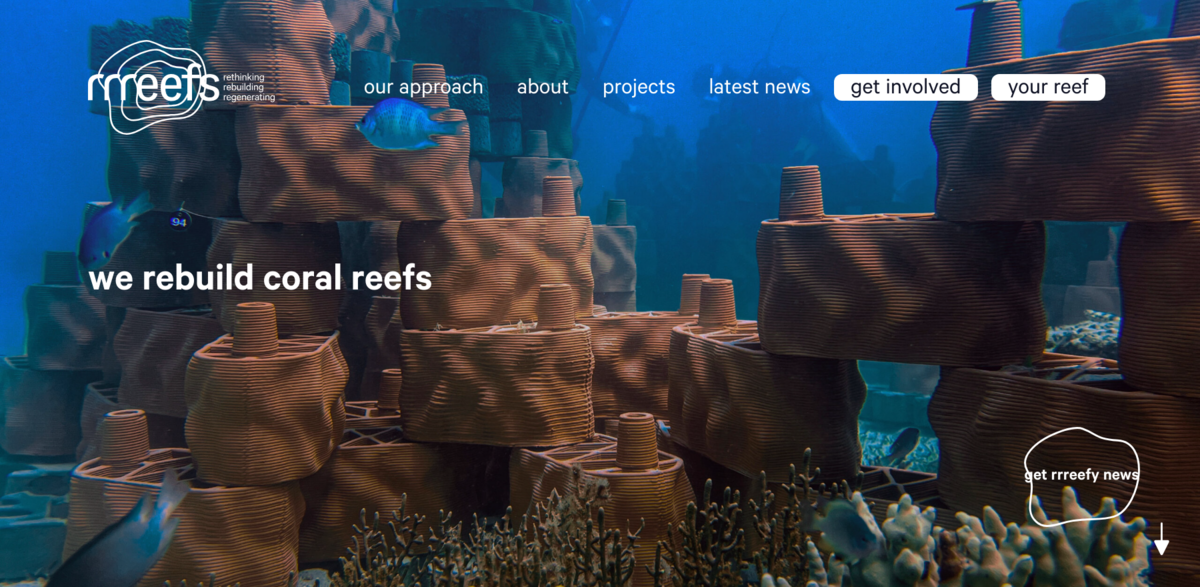 coral reef restoration