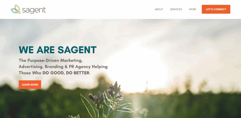 Sagent: A Purpose-Driven Marketing Agency for Social Change