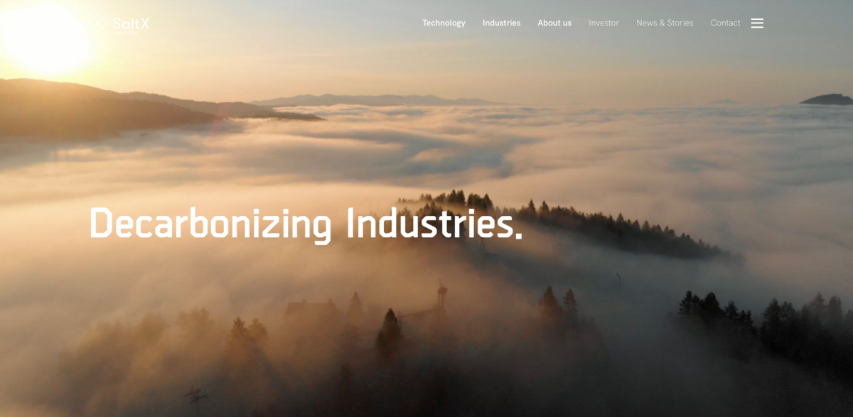 SaltX Technology