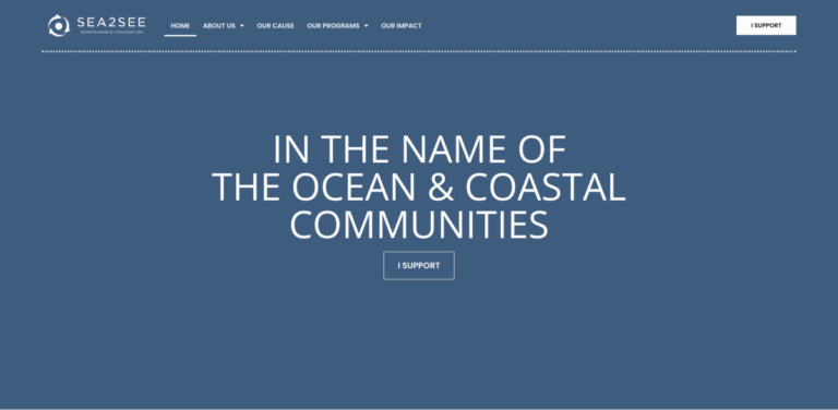 Sea2see Foundation: Protecting Oceans and Empowering Communities