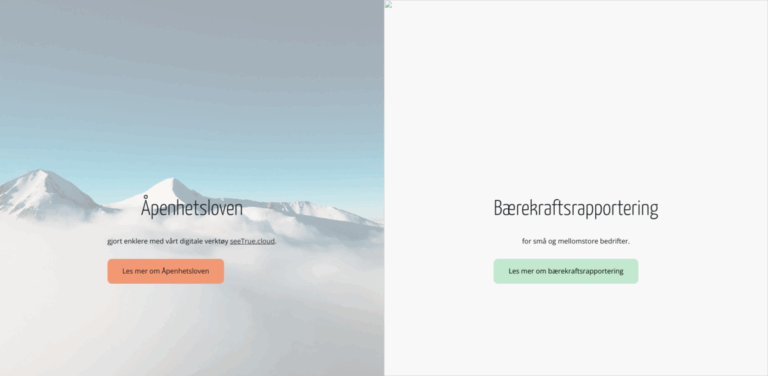 seeTrue.cloud: Simplifying Sustainability Reporting for SMEs