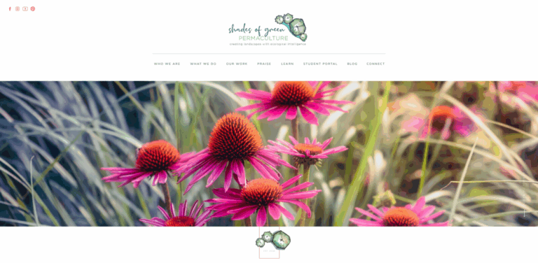 Shades of Green Permaculture: Transforming Landscapes into Edible Ecosystems