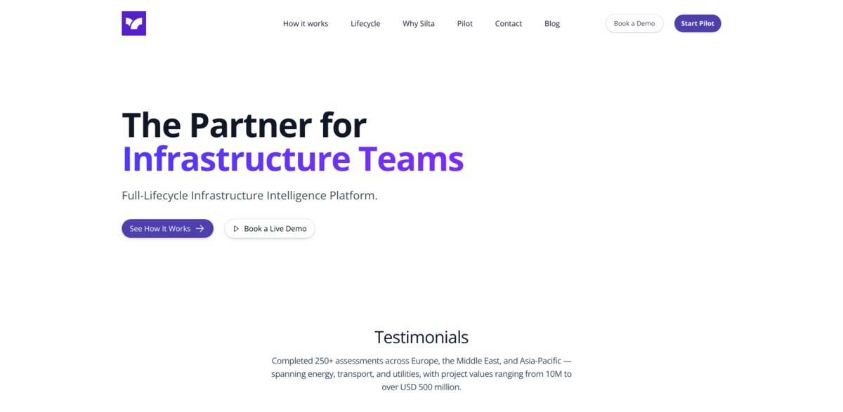 Silta AI infrastructure project management