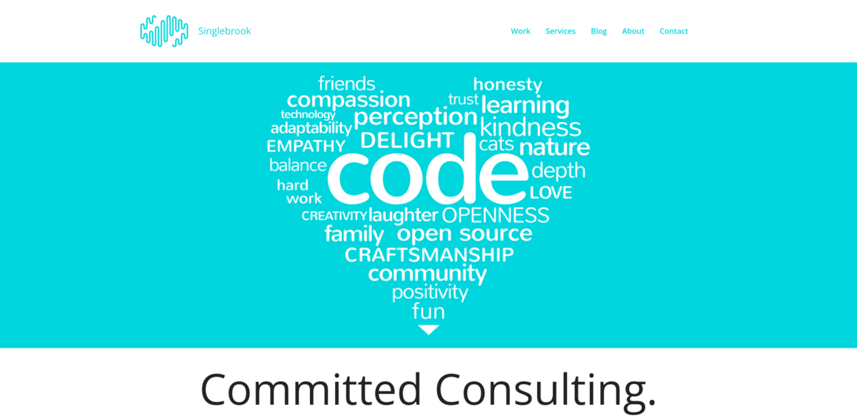 custom software development