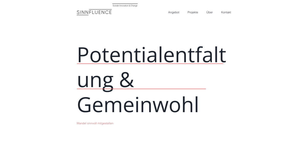 Sinnfluence change management