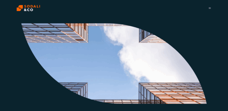 Sodali: Navigating Stakeholder Dynamics for Business Success