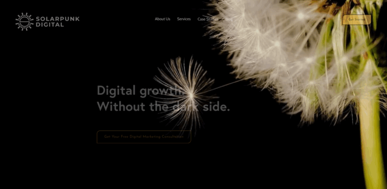 SolarPunk Digital: Empowering Sustainable Marketing and Web Development