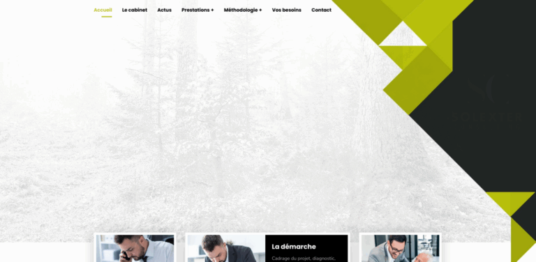 SOLEXTER Consulting: Your Partner in Sustainable Industrial Solutions