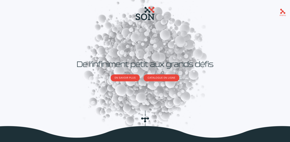SON SAS nanoparticles