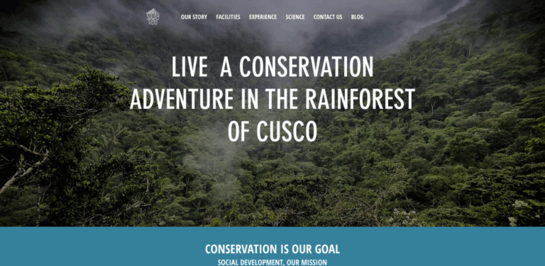Soqtapata: A Conservation Initiative in the Rainforest of Cusco