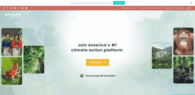 Stand For Trees: Empowering Communities to Protect Forests