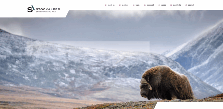 Stockalper: M&A Advisory Firm Focused on Sustainable Business Growth