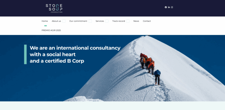 Stone Soup Consulting: Empowering Organizations for Social Impact