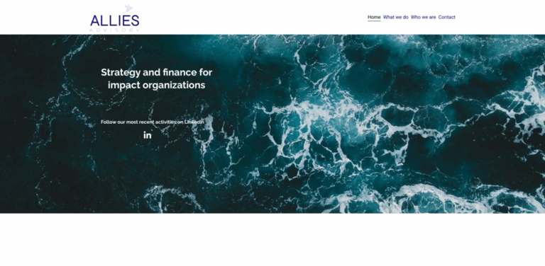 Allies Advisory: Strategy and Finance for Impact Organizations