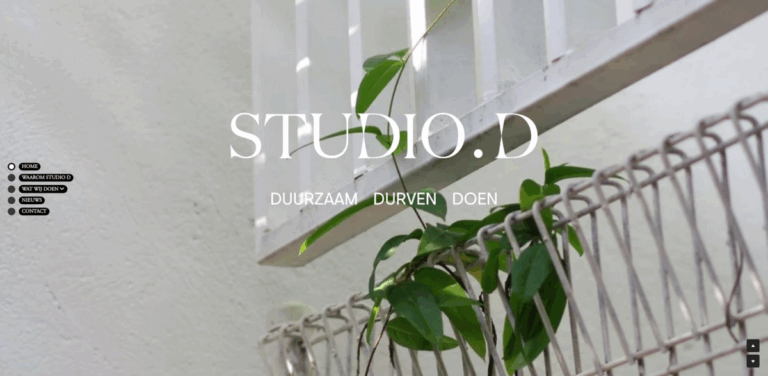 Studio D: Guiding Businesses Towards Sustainable Practices