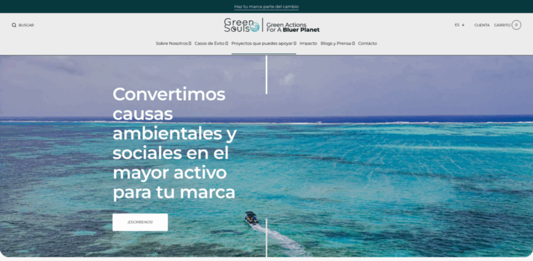 EcoBrand: Weaving Sustainability and Purpose-Driven Marketing in Textiles