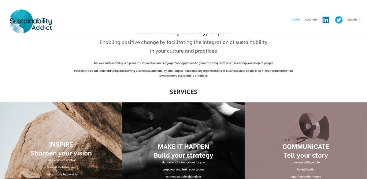 Sustainability Strategy Expert