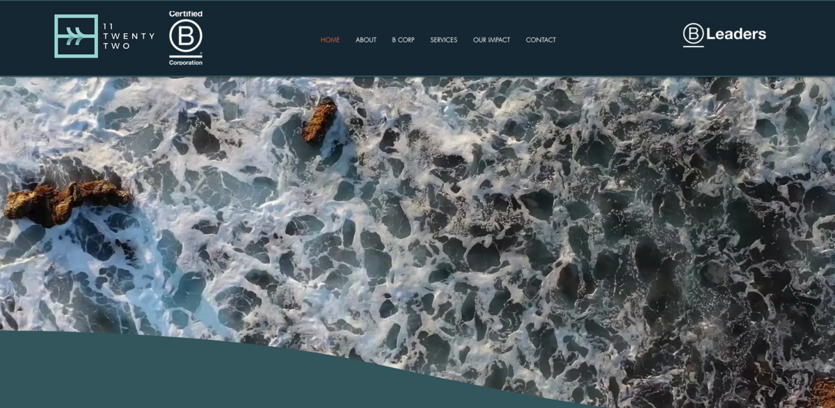 Sustainable Business Growth