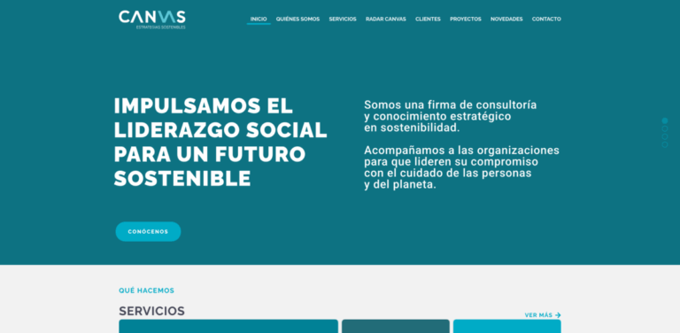 Sustainable Solutions Consulting: Driving Social Leadership for a Sustainable Future