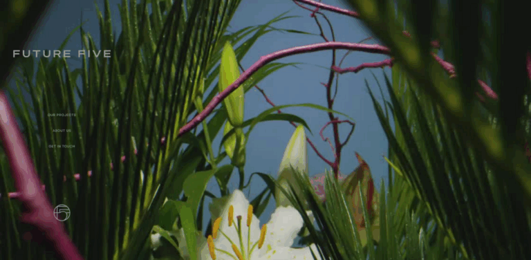 SWAN NECK BIO: Streamlining Microorganism Scaling for BioEconomy Startups