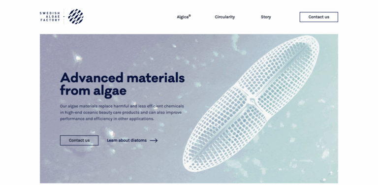 Swedish Algae Factory: Transforming Algae into Sustainable Beauty and Energy Solutions