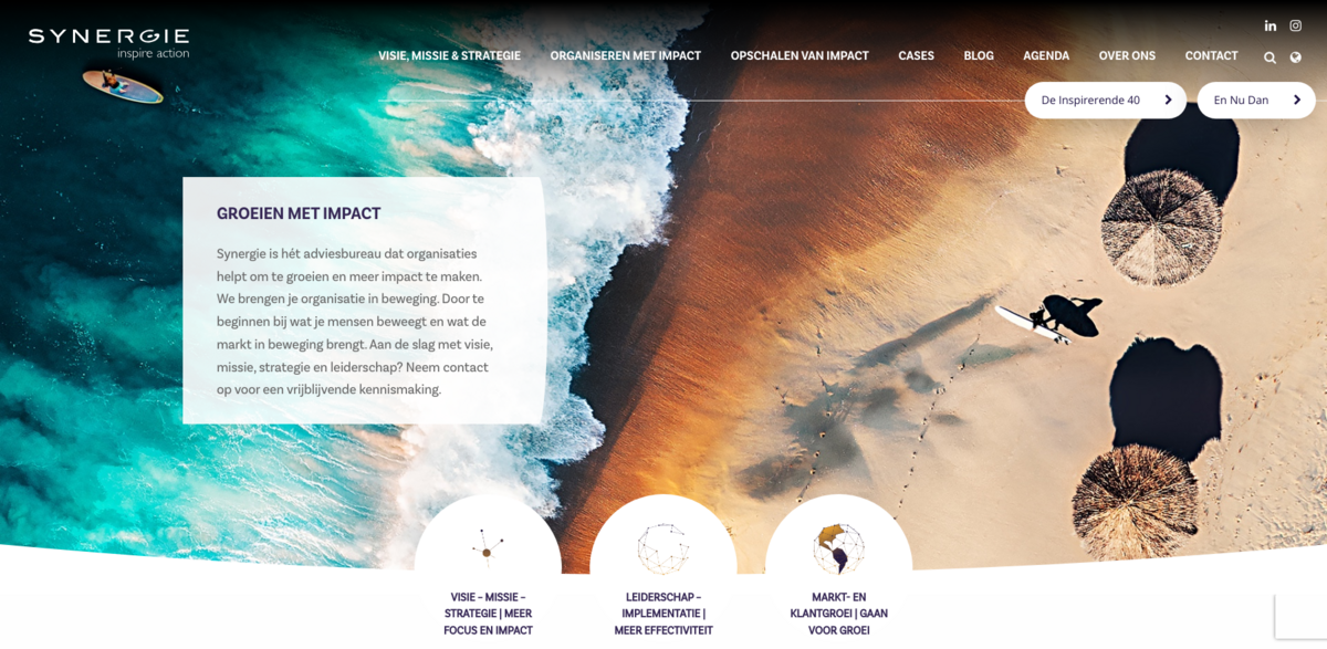 Synergie consultancy