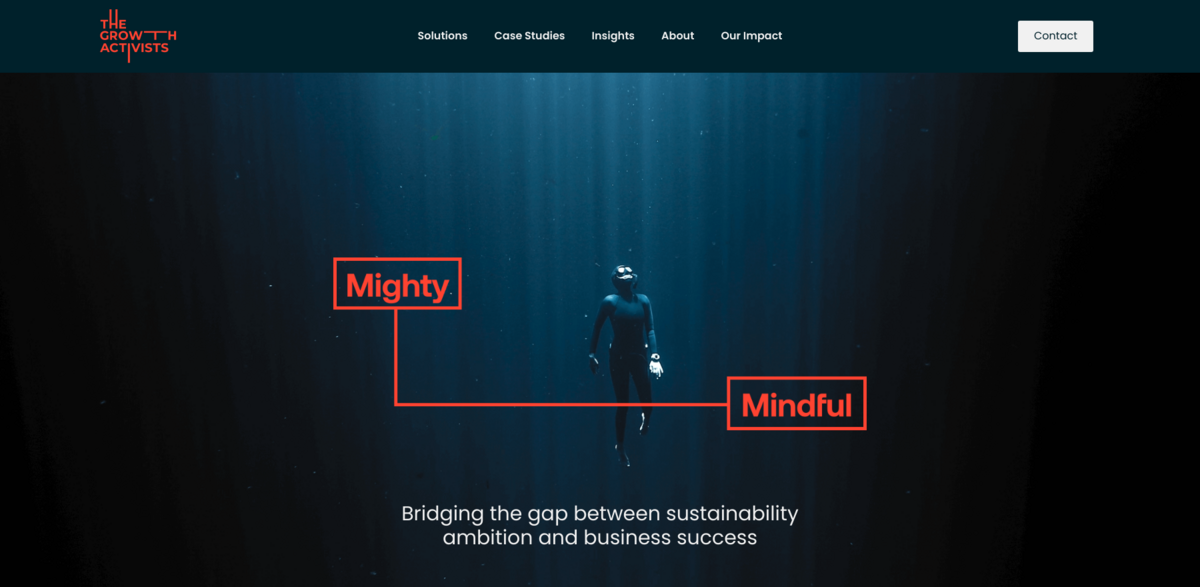 The Growth Activists: Empowering Organizations for a Sustainable Future