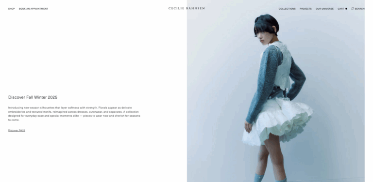 The North Face: A Fusion of Rugged Heritage and Hyper-Femininity