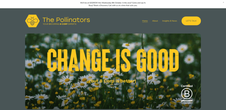 The Pollinators: Empowering Businesses for B Corp Certification