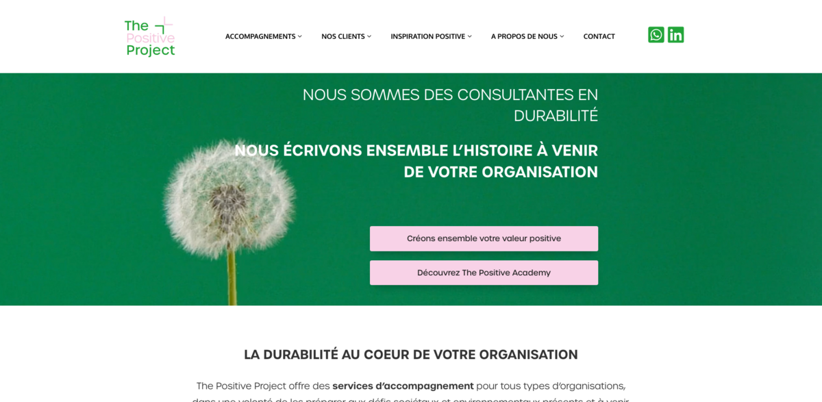 sustainability consulting