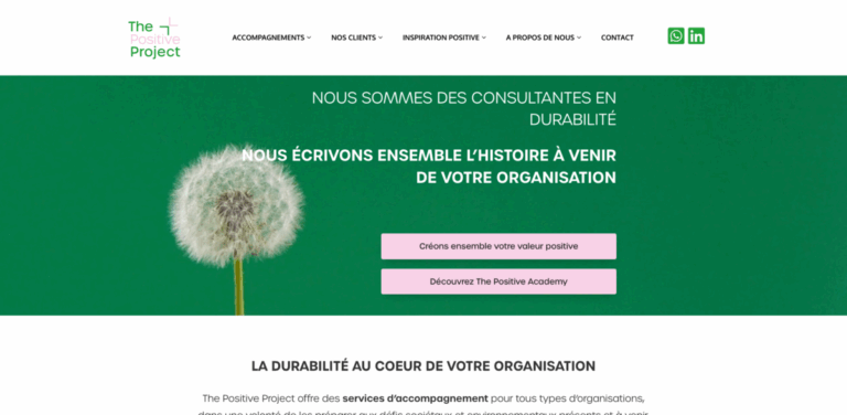 The Positive Project: Empowering Organizations for Sustainable Transformation