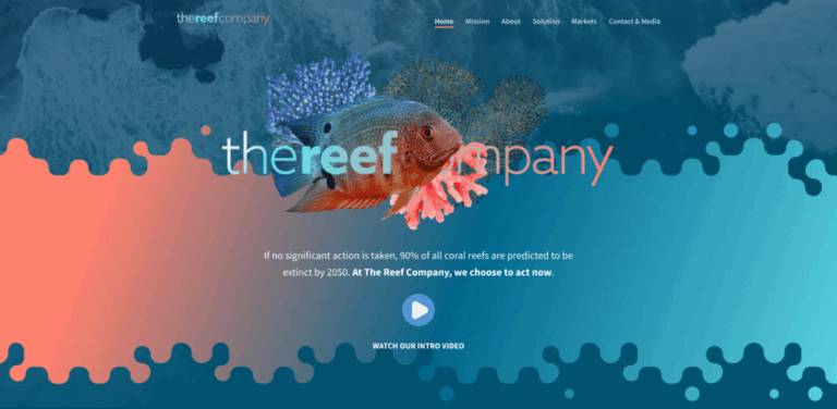 The Reef Company: Restoring Ocean Health with Engineered Reefs