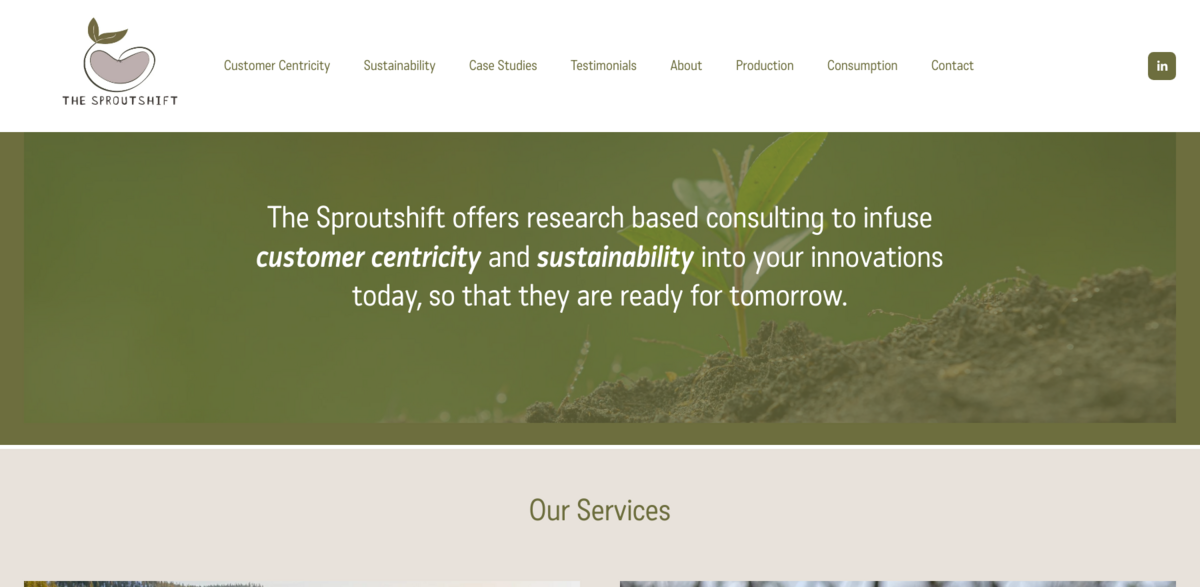 customer centricity and sustainability consulting