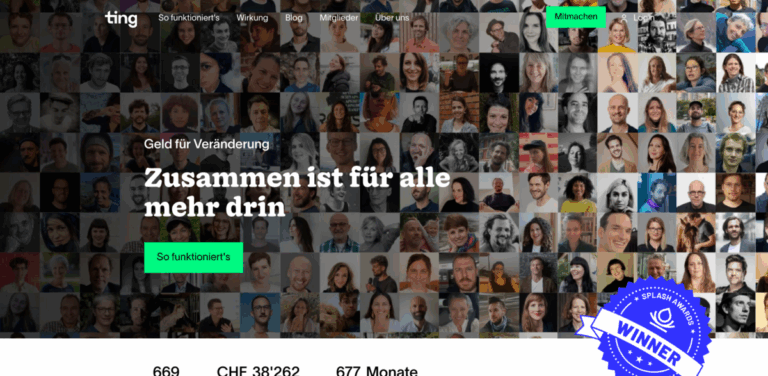 Ting: A Community-Driven Initiative for Project Funding