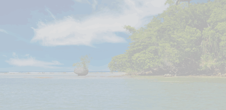 TogetherForTheBetterGood: Implementing Effective Blue Carbon Projects