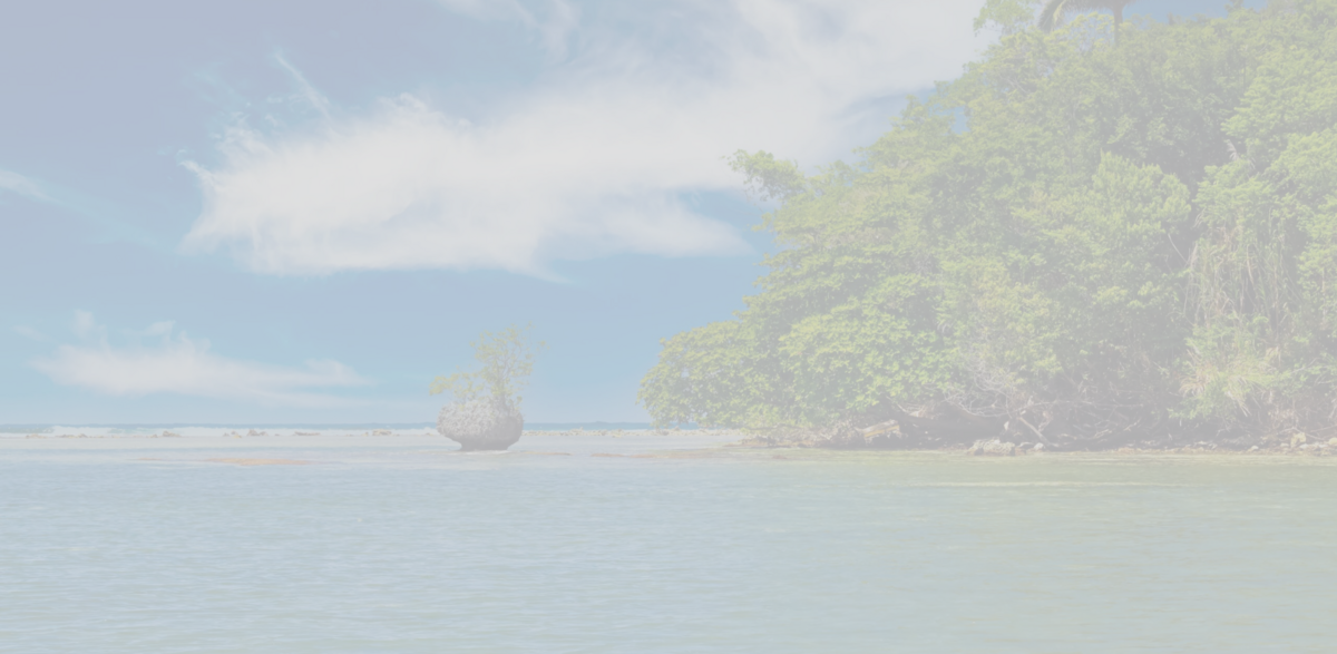 Blue Carbon projects