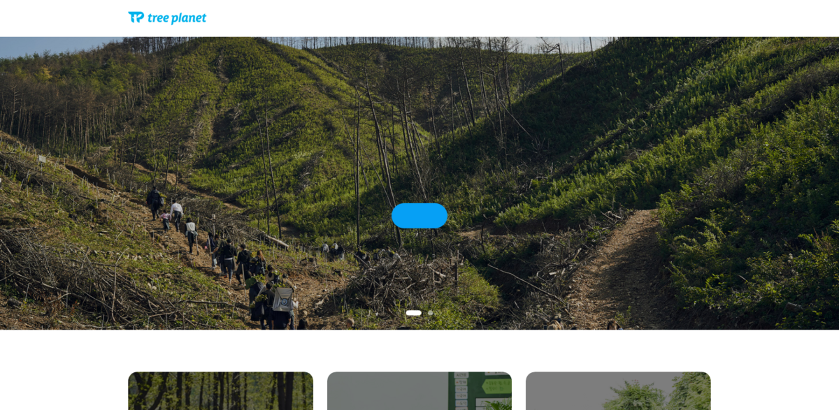 Forest Restoration Project