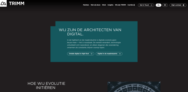 TRIMM: Transforming High-Tech and Manufacturing with Digital Solutions