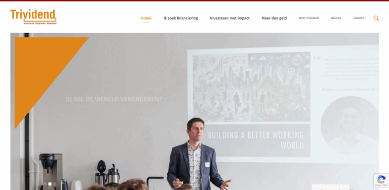 Trividend: Supporting Social Enterprises for Inclusive Employment in Flanders