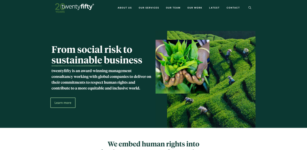 Twentyfifty human rights consultancy