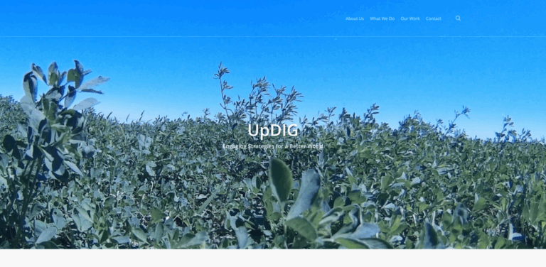 UpDIG: Collaborative Strategies for Sustainable Development and Community Growth