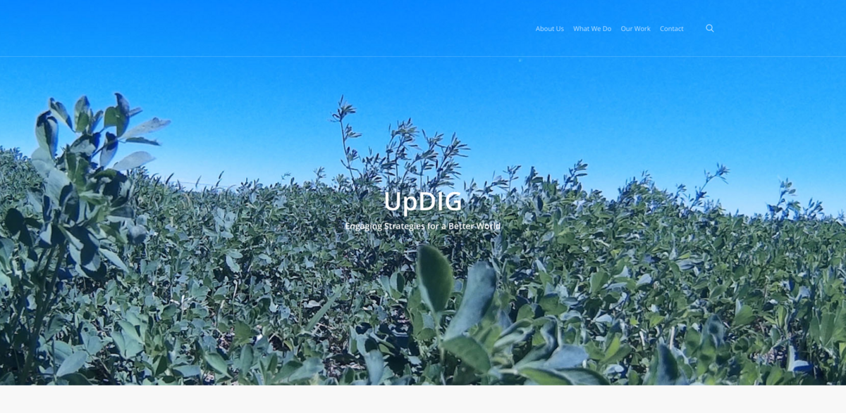 UpDIG sustainable development