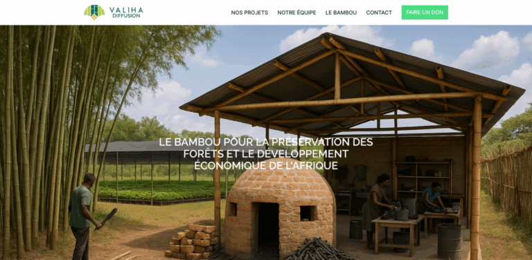 Valiha Diffusion: Developing Sustainable Bamboo Charcoal Production in Africa