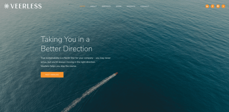 Veerless: Guiding Companies Towards Sustainable Business Practices