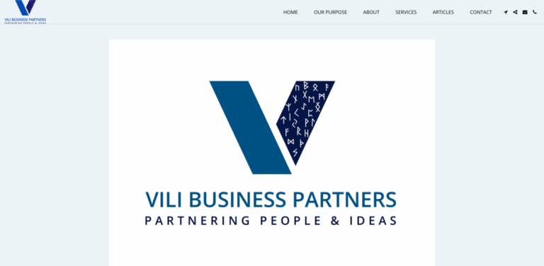 VILI BUSINESS PARTNERS: Empowering Organizations Through Tailored Development Solutions