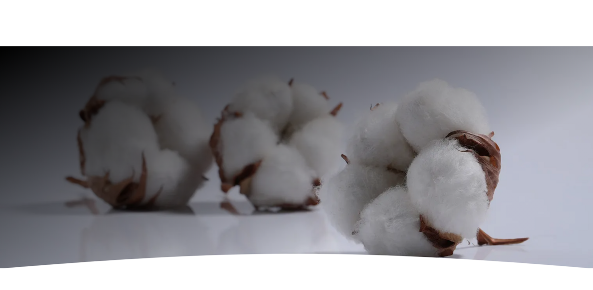 VIOLAR S.A. cotton ginning