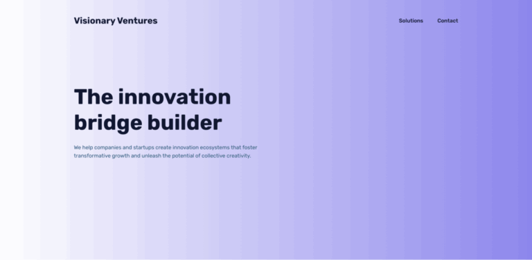 Visionary Ventures: Building Innovation Ecosystems for Startups and Businesses