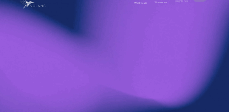 Volans: Transforming Corporate Strategy for a Sustainable Future